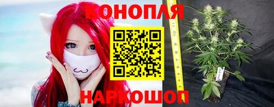 гашик Можга