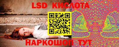 Альфа ПВП Малгобек