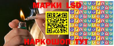 Альфа ПВП Малгобек