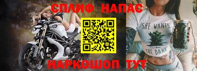 Альфа ПВП Малгобек