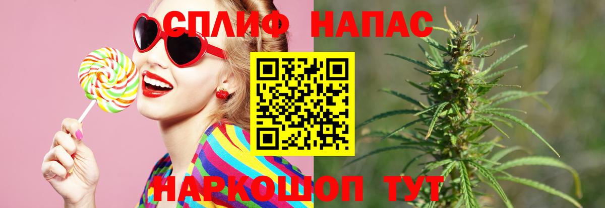 Конопля SATIVA & INDICA Советский